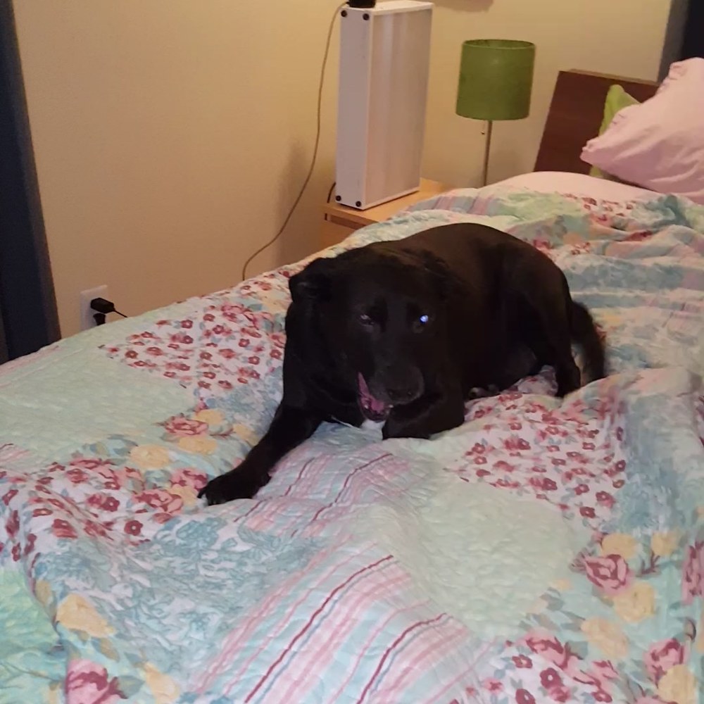 Meet your Posher, Daniela